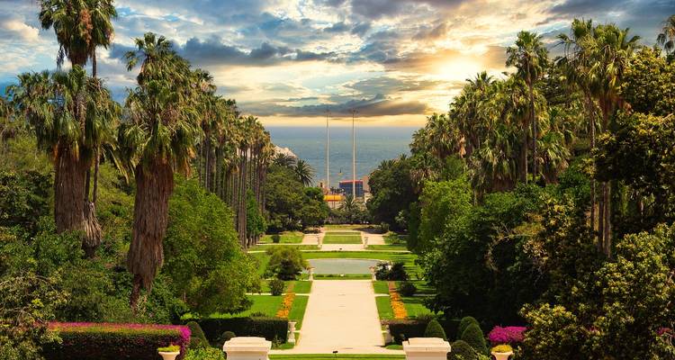 Lush terraced botanical gardens in Algiers framed by tall palm avenues with the sea and a dramatic sunset beyond.