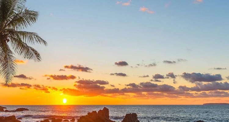 Golden tropical sunset over ocean with palm frond silhouette and rocky shoreline.