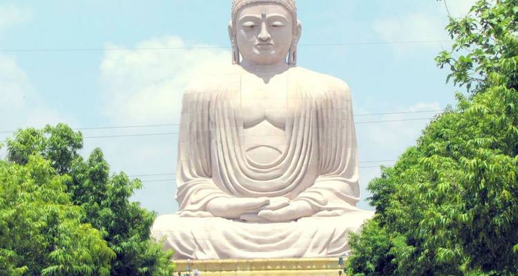 Massive seated Buddha statue surrounded by lush greenery under a bright sky.
