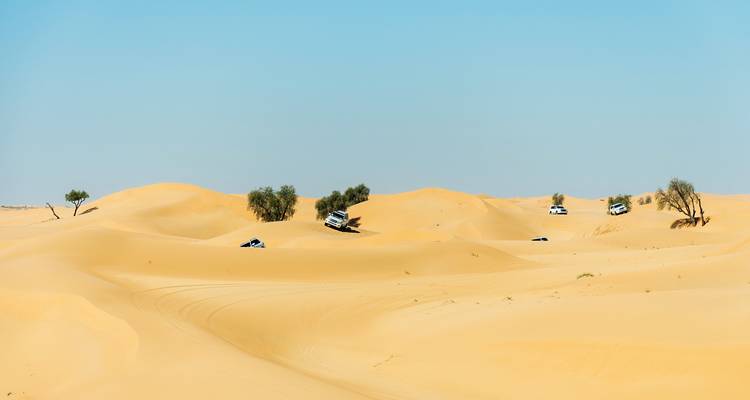 SUVs durchqueren welliges, goldenes Sanddünengelände unter klarem blauen Himmel.