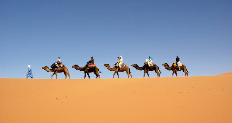 Caravana de camellos con jinetes encabezada por un guía caminando a través de dunas de arena dorada bajo un cielo azul despejado.