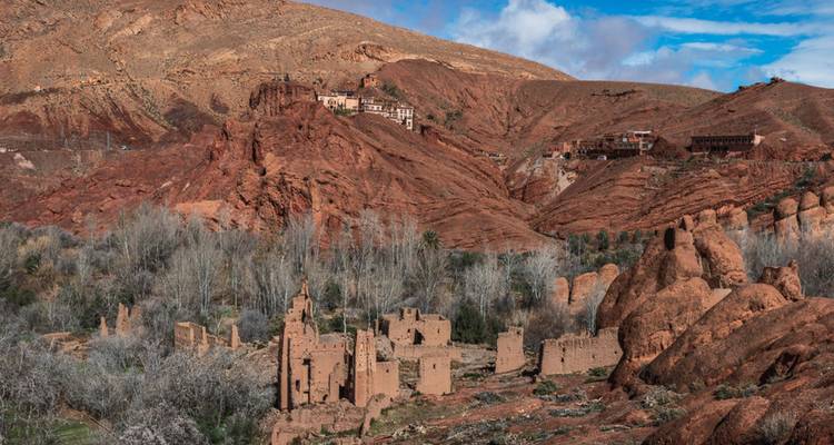 Rote Canyonlandschaft durchsetzt mit antiken Kasbah-Überresten und kahlen Bäumen