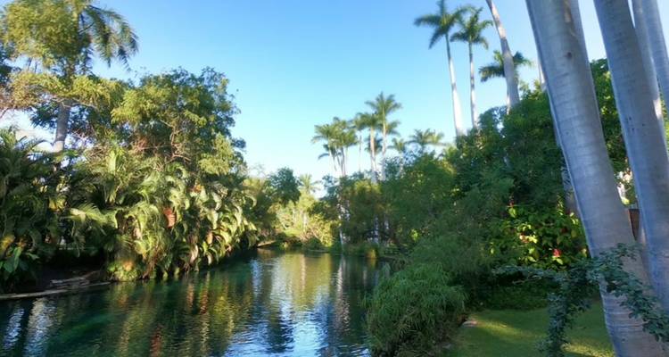 A tranquil canal surrounded by dense tropical foliage and tall palm trees beneath a bright blue sky.