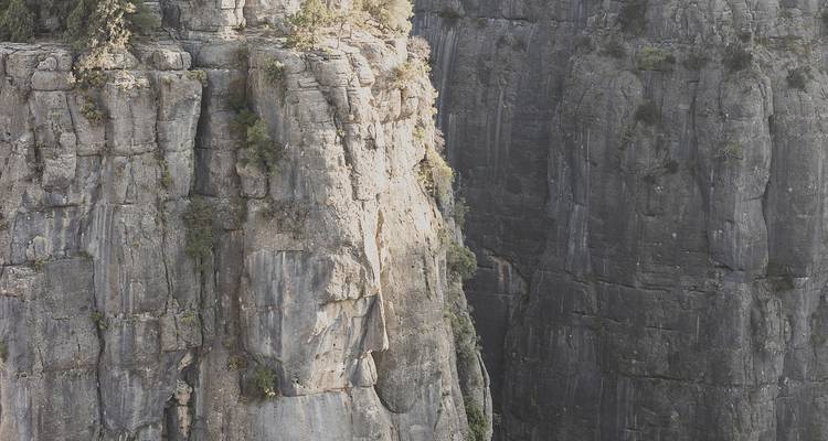 Acantilado gris empinado con estriaciones verticales y vegetación escasa