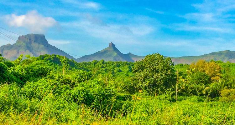 Exuberante vegetación tropical con picos gemelos verdes que se elevan contra un cielo azul brillante