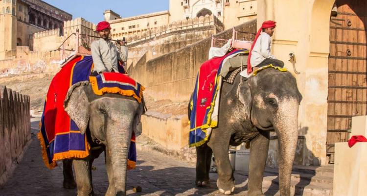 Tourists ride colourfully decorated elephants up the ramparts of Amber Fort