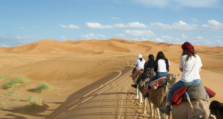 Line of travellers on camels trekking across rolling Sahara dunes under a bright blue sky.
