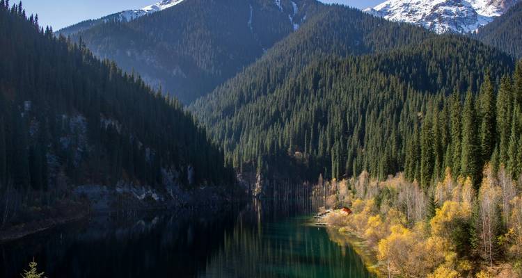 Lac alpin au miroir immobile entouré de forêts de pins denses avec des pics enneigés au loin.