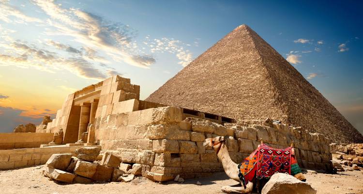 A colorfully dressed camel resting beside the Great Pyramid under a dramatic sky.