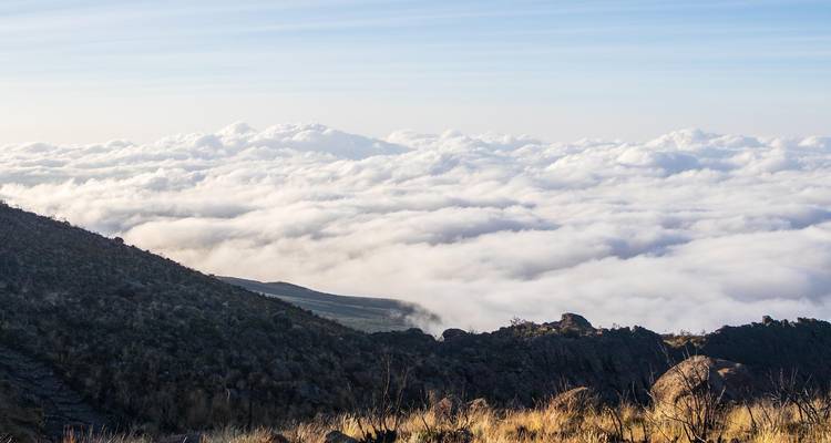 Pente ondulante descendant vers une vaste mer de nuages sous la douce lumière matinale.