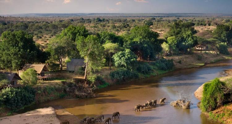 Aerial view of a river bend where a herd of elephants crosses near riverside safari lodges set in lush bush
