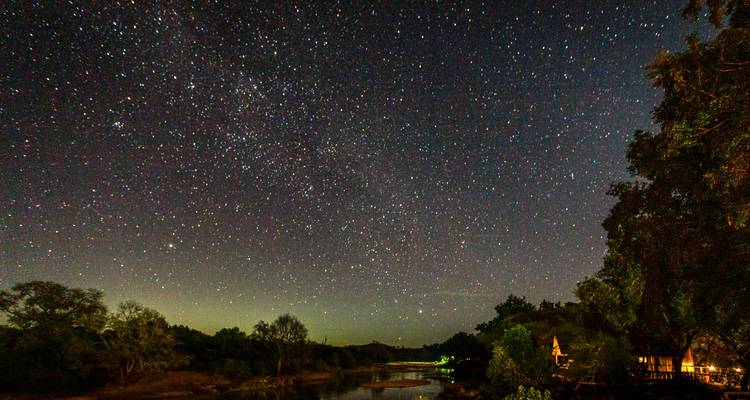 Crystal-clear night sky filled with stars above a quiet river and trees