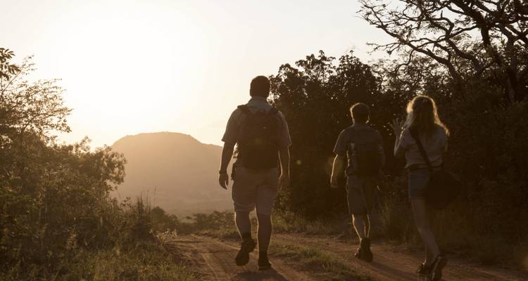 Three walkers with backpacks silhouetted on a dirt track against a rising sun in the bush
