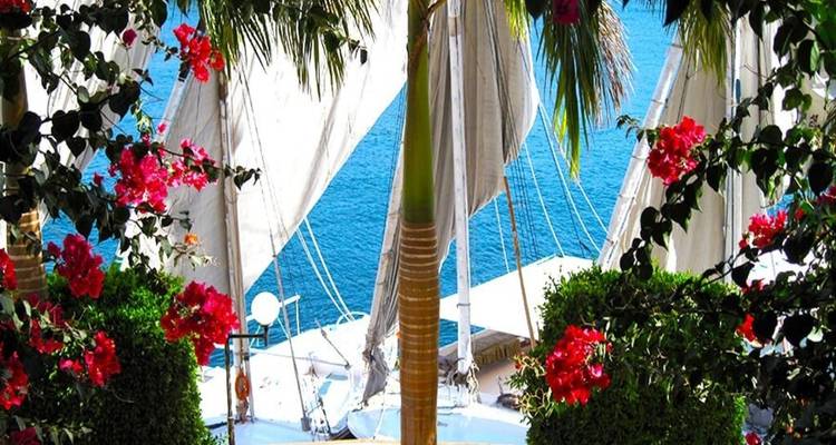 Bright flowers frame a view of white-sailed boats on sparkling blue water.