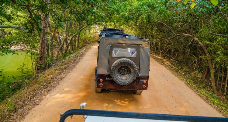 Open-top safari jeep driving along a shaded dirt road through dense green forest.