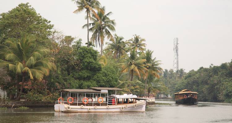 Motorboats cruising the calm backwaters lined with coconut palms and village houses.