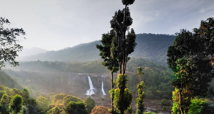 Twin streams of a wide waterfall cascade over a forested escarpment in soft morning light.