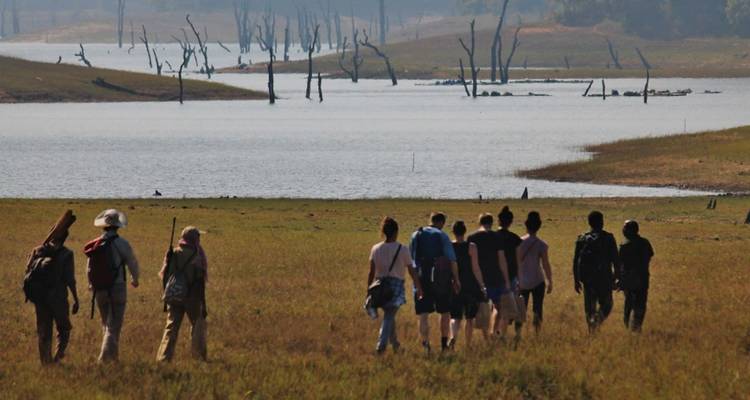 Guided group trekking across grassy floodplain toward distant lake with dead tree trunks