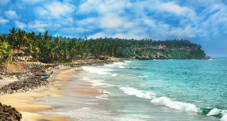 Tropical beach with rolling waves, palm-lined shore and headland under bright sky
