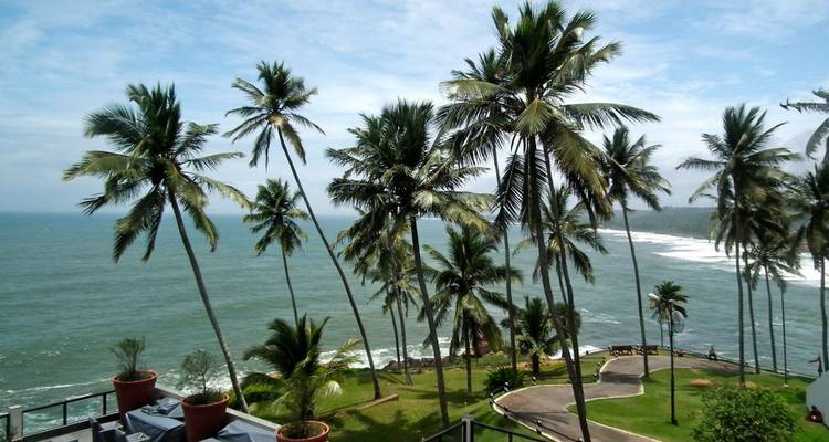 View through swaying palms to the Arabian Sea from clifftop vantage