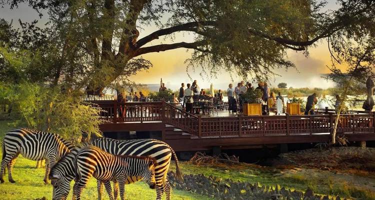 Des personnes savourant des boissons sur une terrasse au bord de la rivière tandis que des zèbres paissent sur l'herbe en contrebas
