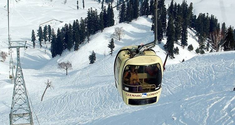 Eine Gondelbahn gleitet über verschneite Hänge und hohe Kiefern.