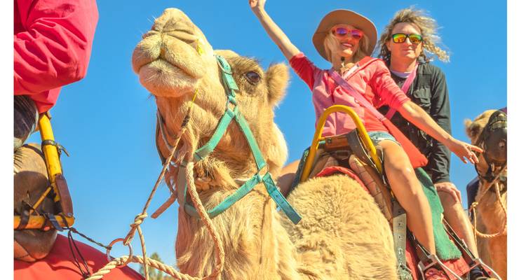 Lively travellers riding high on camels, cheering under a vivid blue desert sky.