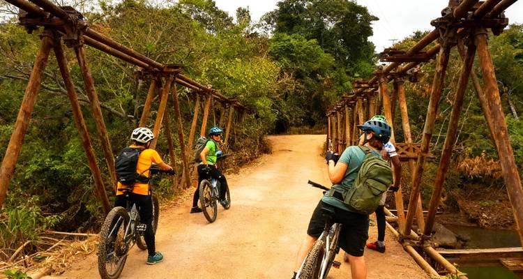 Group of mountain bikers pause on a rustic metal bridge surrounded by dense vegetation