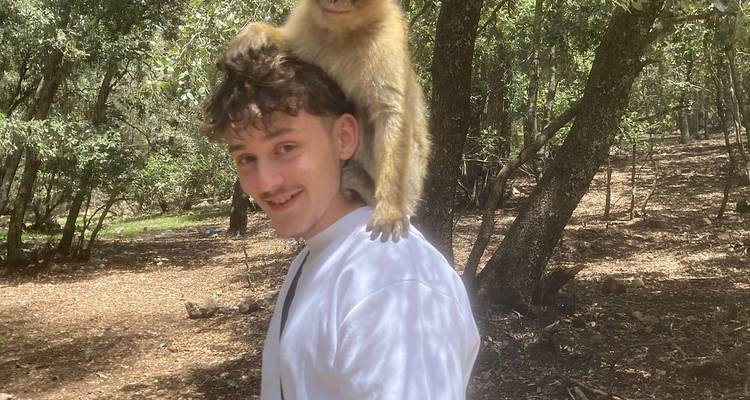 Young man smiles as a Barbary macaque perches playfully on his head in a shaded cedar forest.