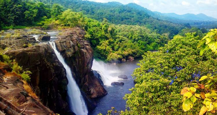 Deux cours d'eau d'une chute d'eau forestière éclatante se précipitant sur des rochers sombres.