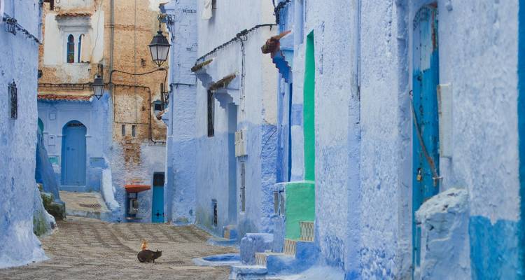 Callejón estrecho pintado de azul en Chefchaouen con un gato sentado en las adoquines.