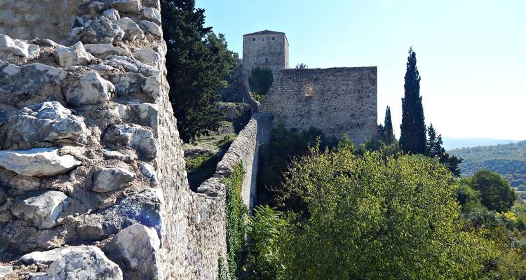 Les murs de forteresse en pierre et la tour s'élevant au-dessus de la végétation verdoyante par une journée ensoleillée