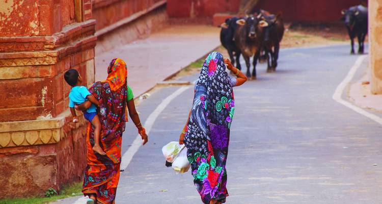 Two women in colorful saris walk a village lane with a child and approaching cattle.