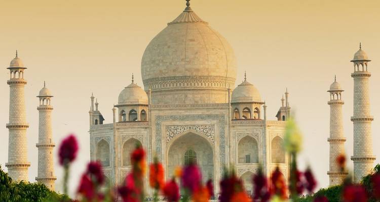 Iconic Taj Mahal framed by soft evening light and blurred foreground flowers.