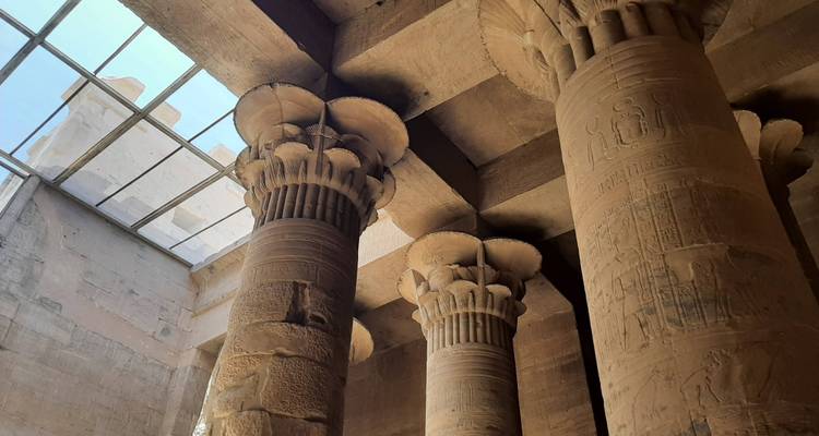 Interior hall with papyrus-capital columns and skylight illuminating ancient carvings.