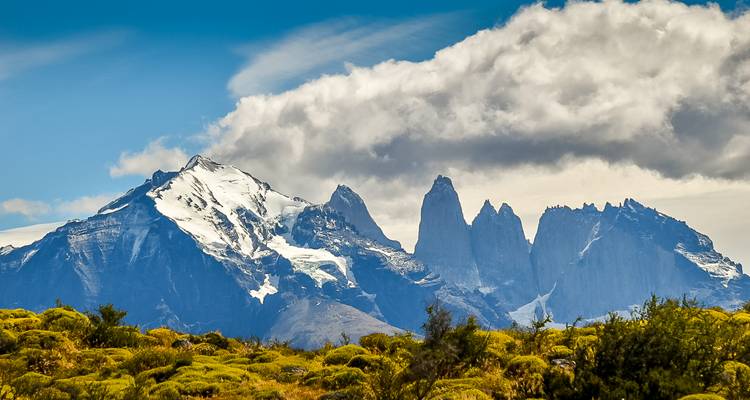 Bright yellow shrubs contrast with the jagged snowy Torres peaks beneath a dramatic cloud band.