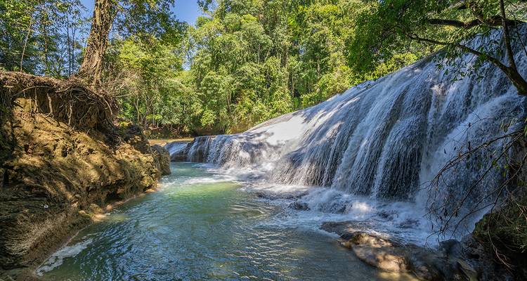 Cascading jungle waterfall tumbles into emerald pool surrounded by lush trees