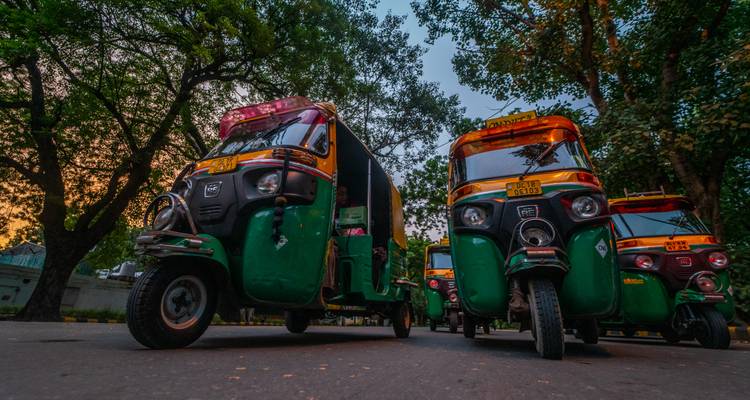 Low-angle view of green and black auto rickshaws lined up beneath leafy trees at dusk.