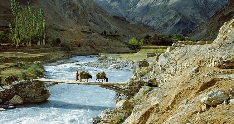Small pack animals and villagers crossing a narrow wooden bridge over a rushing mountain river.