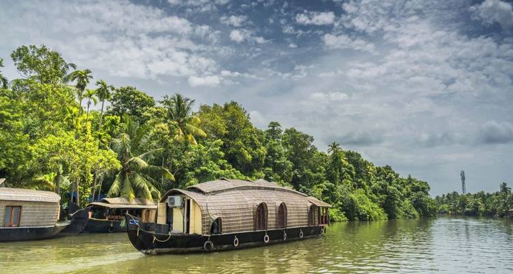 Traditionelle Hausboote aus Kerala fahren durch smaragdgrüne Backwaters mit üppigen Palmen über sich