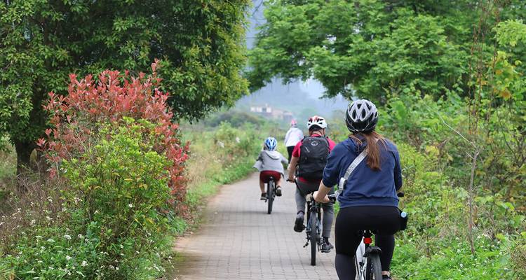 Cyclistes circulant le long d'un sentier rural verdoyant entouré d'une végétation luxuriante