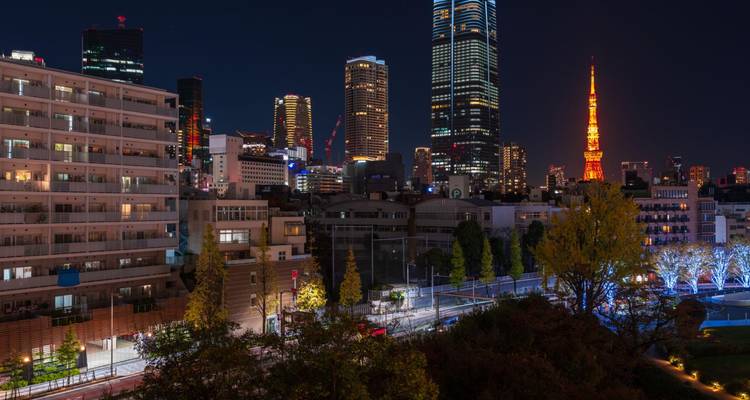 Panorama nocturne de Tokyo avec la Tour de Tokyo illuminée et les gratte-ciel modernes