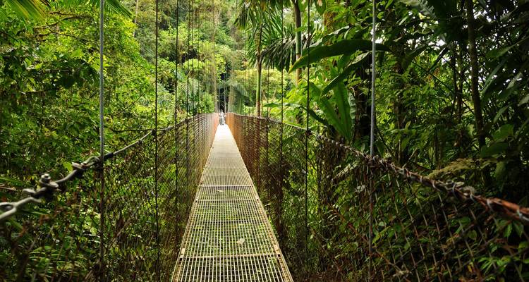 Pont suspendu en métal s'étendant à travers un dense feuillage de jungle verdoyante