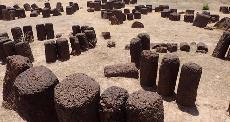 Rows of ancient laterite stone cylinders forming an archaeological stone circle on dry ground.