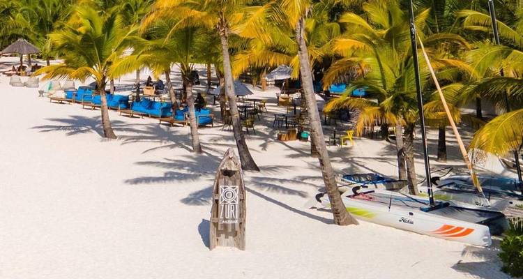 Tropical white-sand beach lined with palm trees, catamarans and blue sun loungers.