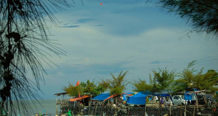 Simple stilted fishing huts with blue tarps lining a calm lakeshore framed by tree branches.