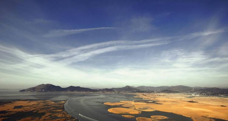 Luchtfoto van kronkelende wadden en gouden rietvelden die de zee ontmoeten met Koreaanse bergen in de verte onder een levendig blauwe hemel