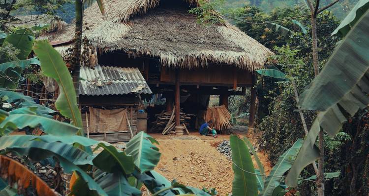 Casa de madera tradicional sobre pilotes con techo de paja rodeada de densa vegetación tropical y hojas de plátano.