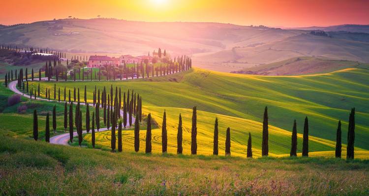 Rolling Tuscan hills glowing at sunset with a winding cypress-lined road leading to a rustic farmhouse.