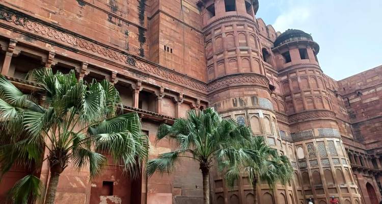 Les massifs murs de grès rouge et les tours en dôme du Fort d'Agra encadrés par les palmiers ondoyants.